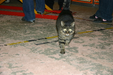 Hmm. Gibt's hier was f�r mich ?